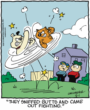 heathcliff